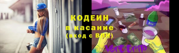 шишки Сатка