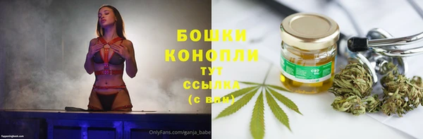 шишки Сатка