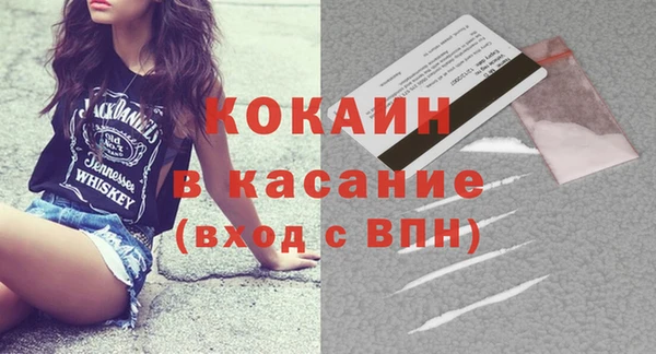 шишки Сатка