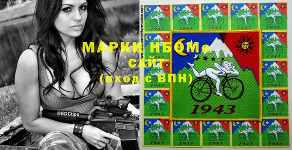 шишки Сатка