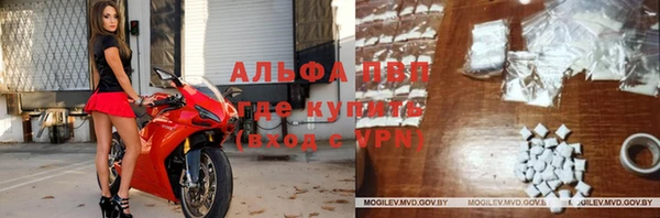 шишки Сатка